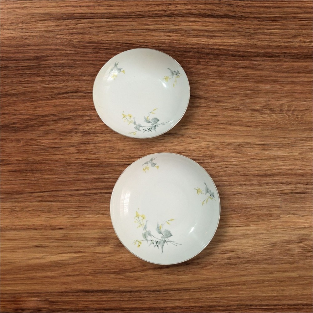 vtg Royal Tettau Spring‎ Bouquet Soup Bowls Set Of 2 Floral Porcelain Dishware